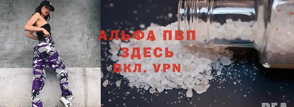 ПСИЛОЦИБИНОВЫЕ ГРИБЫ Горняк