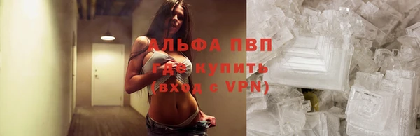 ешки Вязьма