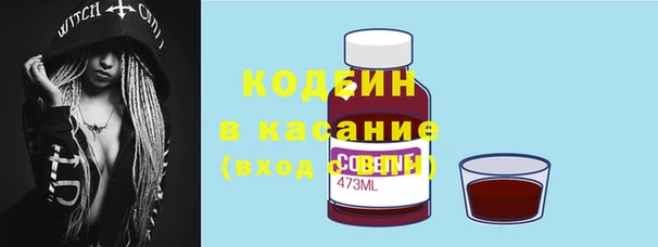 ПСИЛОЦИБИНОВЫЕ ГРИБЫ Горняк