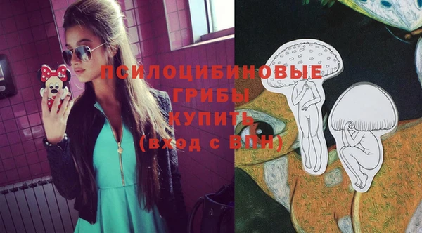 ПСИЛОЦИБИНОВЫЕ ГРИБЫ Горняк