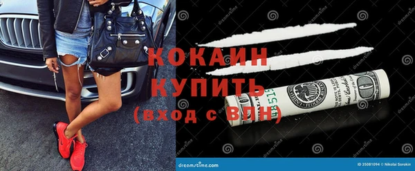 ПСИЛОЦИБИНОВЫЕ ГРИБЫ Горняк