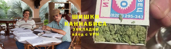 ПСИЛОЦИБИНОВЫЕ ГРИБЫ Горняк